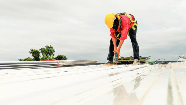 Best Solar Panel Roofing Installation  in Red Springs, NC
